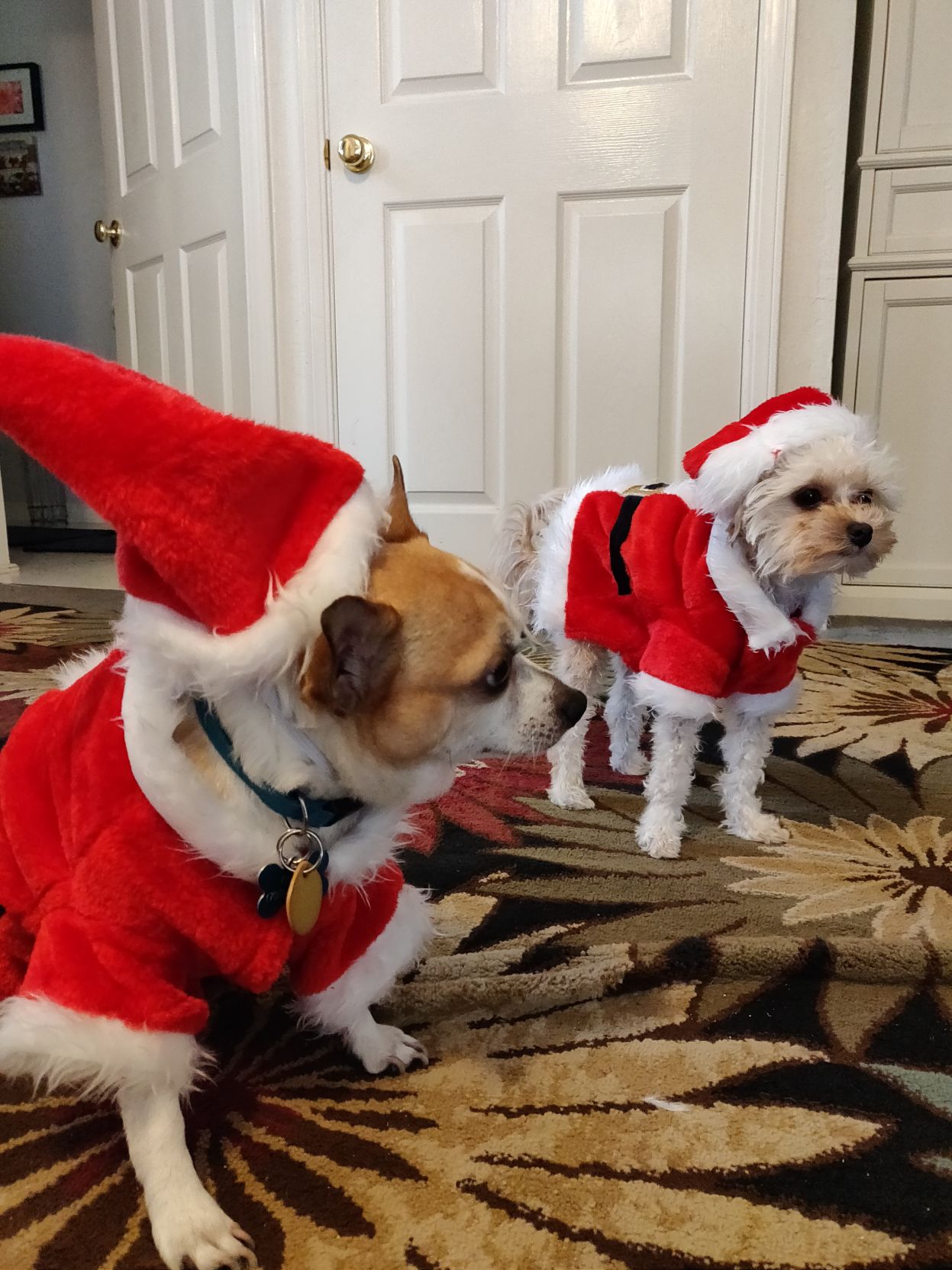 Coyo and Mia